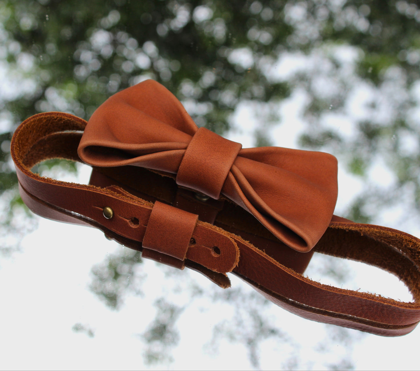 Mooi-storie Bowtie