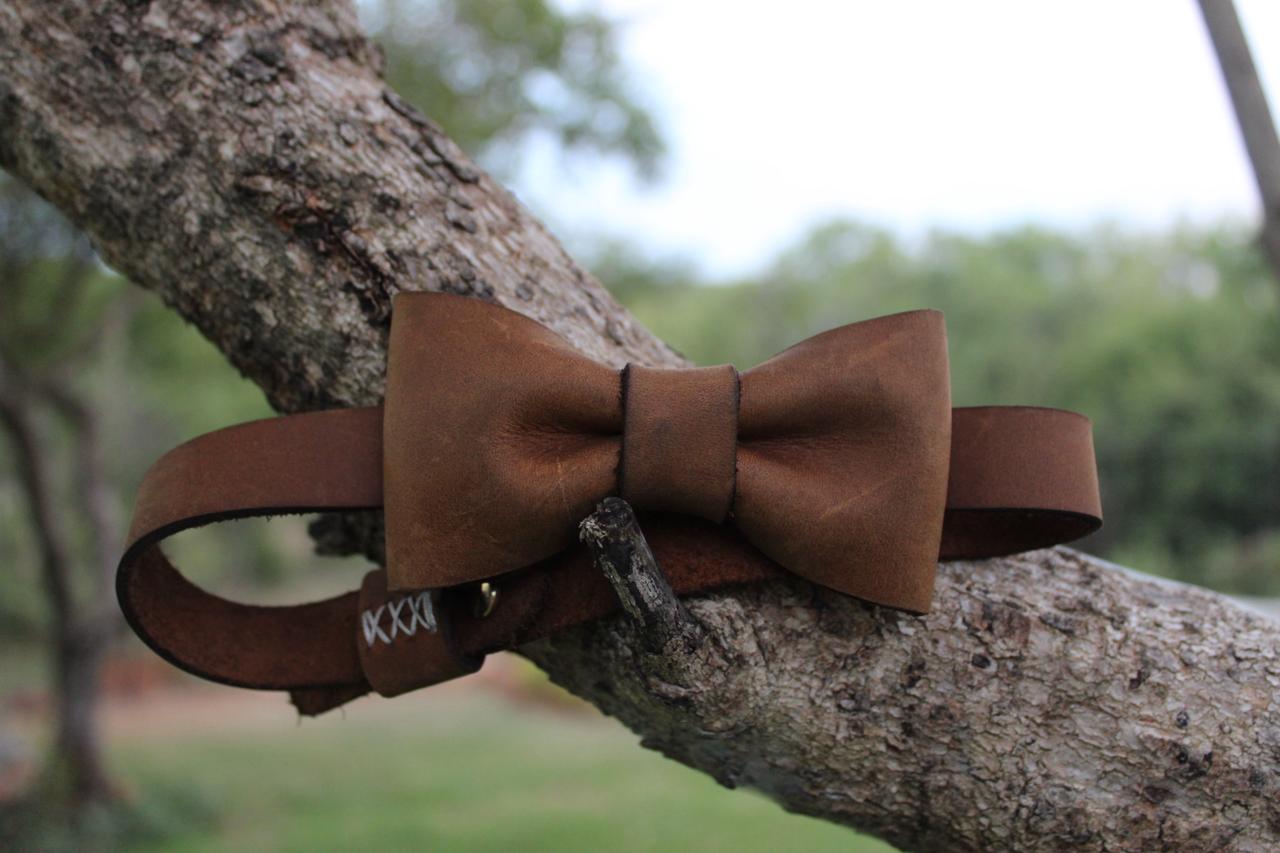 Bowtie