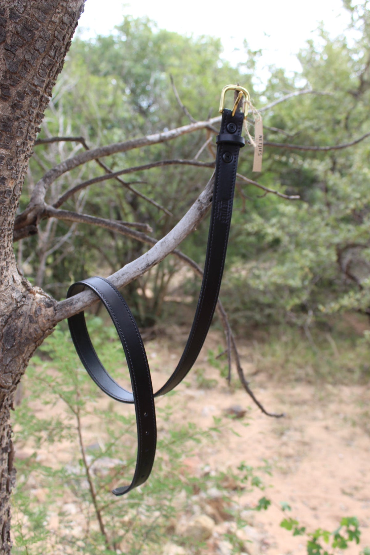 Black leather belt hanging from a tree